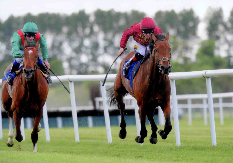 Fog OF War Tipperary 5th June 2014